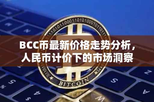 BCC币最新价格走势分析，人民币计价下的市场洞察
