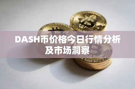 DASH币价格今日行情分析及市场洞察