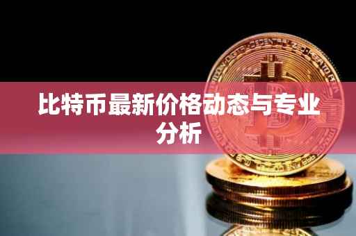 比特币最新价格动态与专业分析