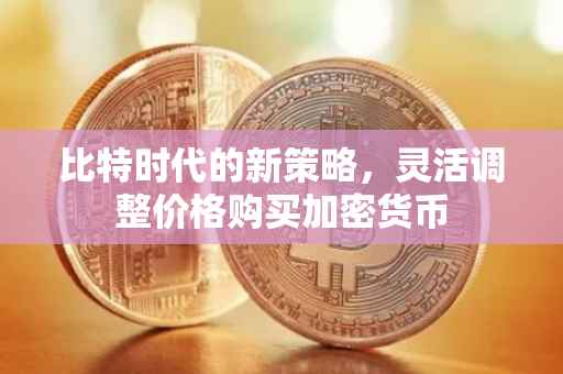 比特时代的新策略，灵活调整价格购买加密货币