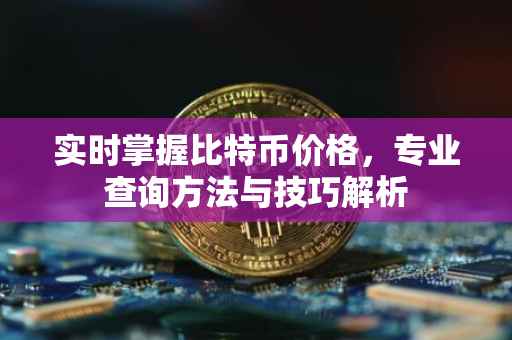 实时掌握比特币价格，专业查询方法与技巧解析