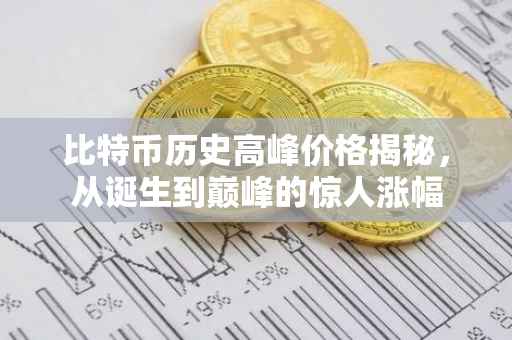 比特币历史高峰价格揭秘，从诞生到巅峰的惊人涨幅