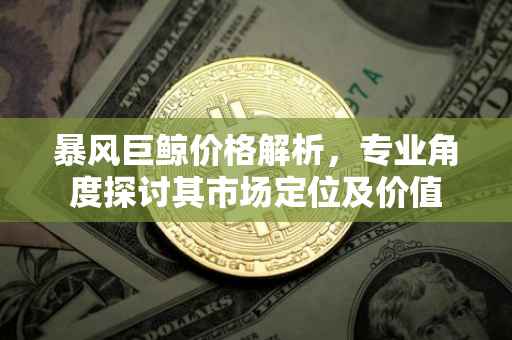 暴风巨鲸价格解析，专业角度探讨其市场定位及价值