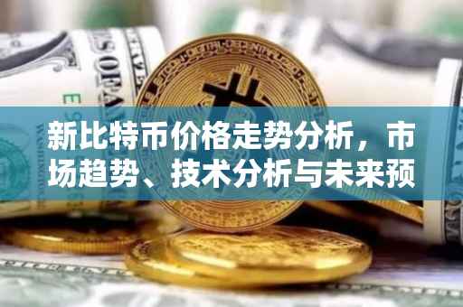 新比特币价格走势分析，市场趋势、技术分析与未来预测