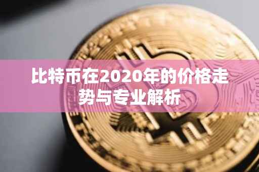 比特币在2020年的价格走势与专业解析