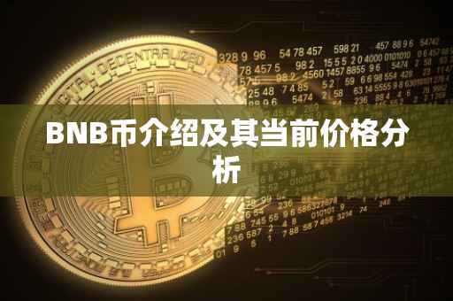 BNB币介绍及其当前价格分析