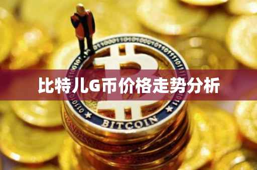 比特儿G币价格走势分析