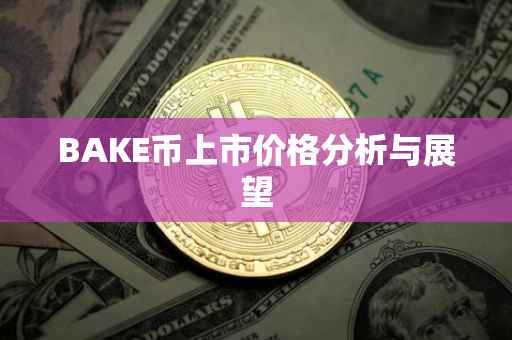 BAKE币上市价格分析与展望