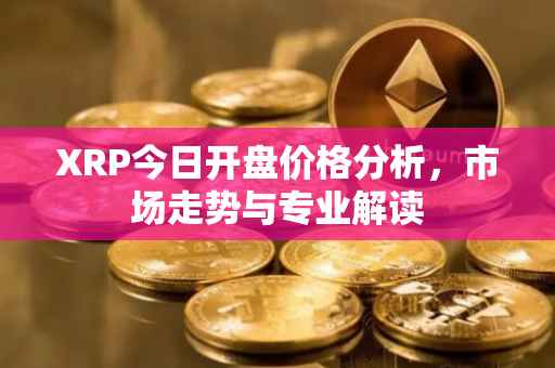 XRP今日开盘价格分析,市场走势与专业解读