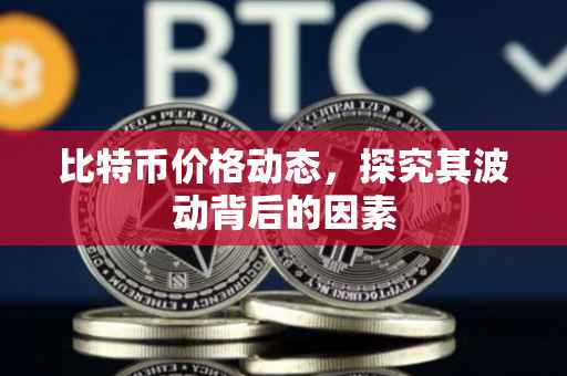 比特币价格动态,探究其波动背后的因素