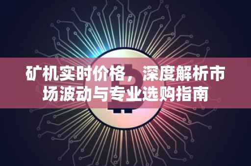矿机实时价格，深度解析市场波动与专业选购指南