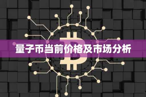 量子币当前价格及市场分析
