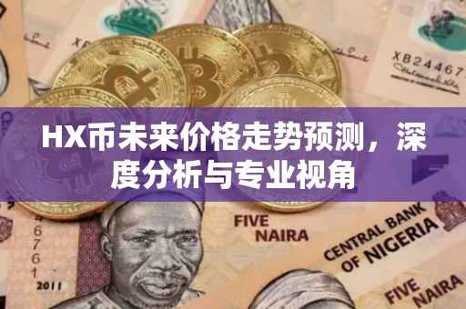 HX币未来价格走势预测，深度分析与专业视角