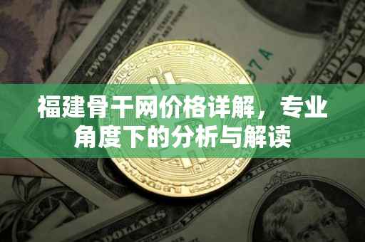 福建骨干网价格详解，专业角度下的分析与解读