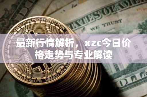 最新行情解析，xzc今日价格走势与专业解读