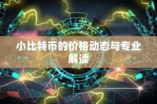 小比特币的价格动态与专业解读