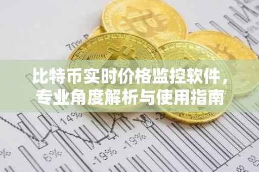比特币实时价格监控软件，专业角度解析与使用指南