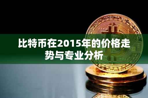 比特币在2015年的价格走势与专业分析