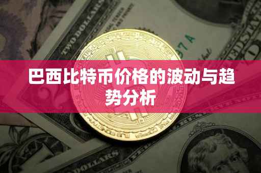 巴西比特币价格的波动与趋势分析