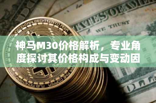 神马M30价格解析，专业角度探讨其价格构成与变动因素