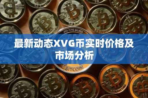 最新动态XVG币实时价格及市场分析