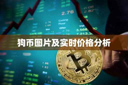 狗币图片及实时价格分析