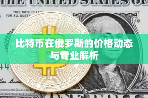 比特币在俄罗斯的价格动态与专业解析