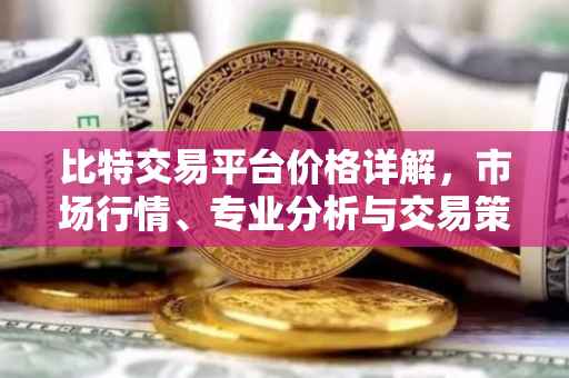 比特交易平台价格详解，市场行情、专业分析与交易策略
