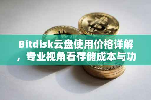 Bitdisk云盘使用价格详解，专业视角看存储成本与功能优势