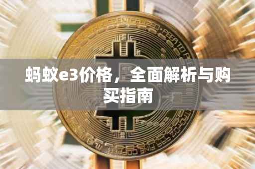 蚂蚁e3价格，全面解析与购买指南