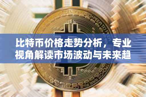 比特币价格走势分析，专业视角解读市场波动与未来趋势