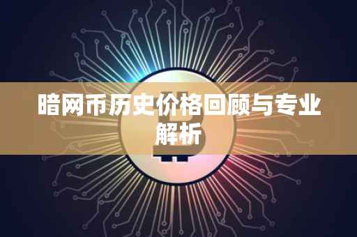 暗网币历史价格回顾与专业解析