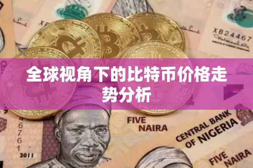 全球视角下的比特币价格走势分析