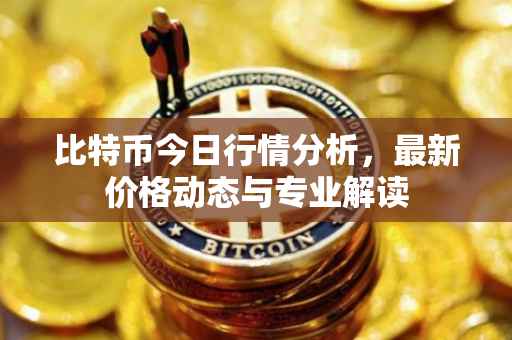 比特币今日行情分析，最新价格动态与专业解读