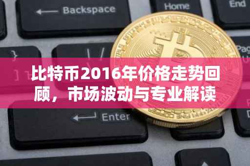 比特币2016年价格走势回顾，市场波动与专业解读
