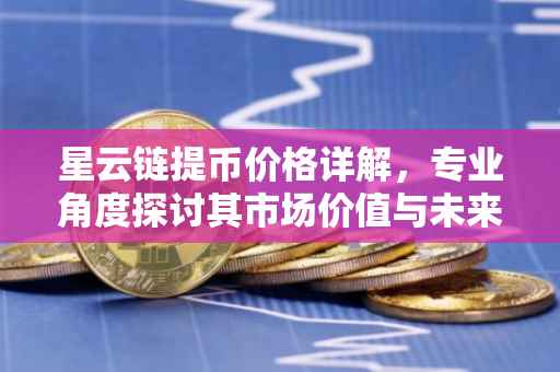 星云链提币价格详解，专业角度探讨其市场价值与未来趋势