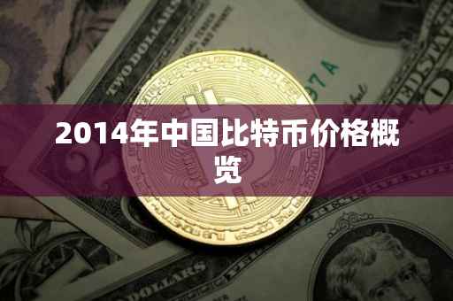 2014年中国比特币价格概览
