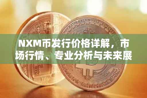 NXM币发行价格详解，市场行情、专业分析与未来展望