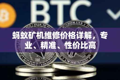 蚂蚁矿机维修价格详解，专业、精准、性价比高