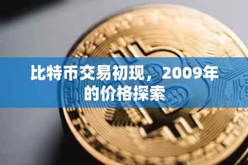 比特币交易初现，2009年的价格探索