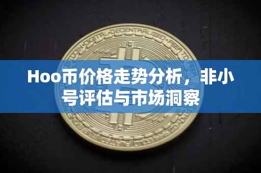 Hoo币价格走势分析，非小号评估与市场洞察