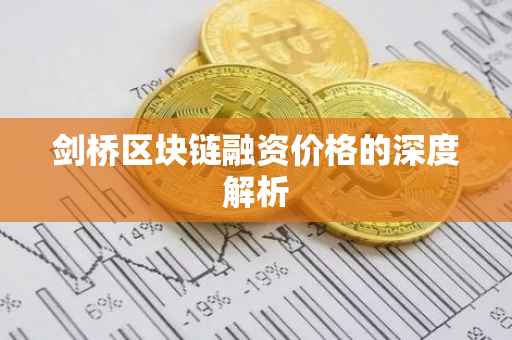 剑桥区块链融资价格的深度解析
