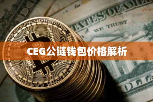 CEG公链钱包价格解析