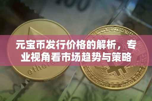 元宝币发行价格的解析，专业视角看市场趋势与策略