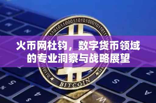 火币网杜钧，数字货币领域的专业洞察与战略展望