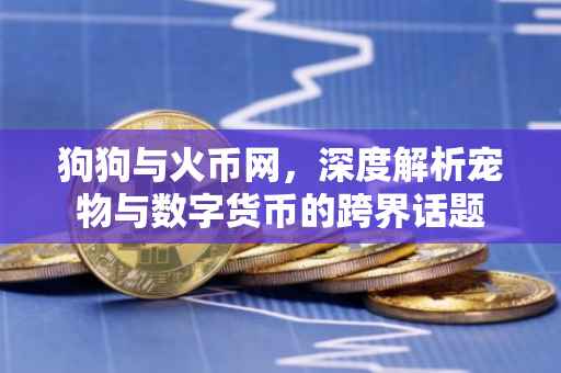 狗狗与火币网，深度解析宠物与数字货币的跨界话题