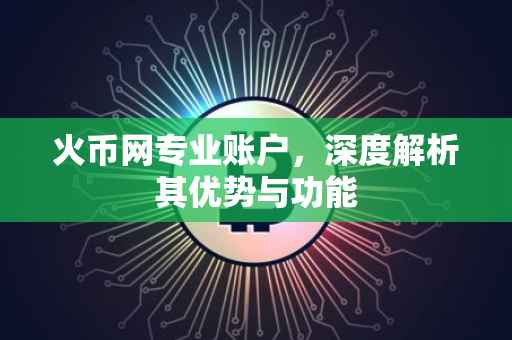 火币网专业账户，深度解析其优势与功能