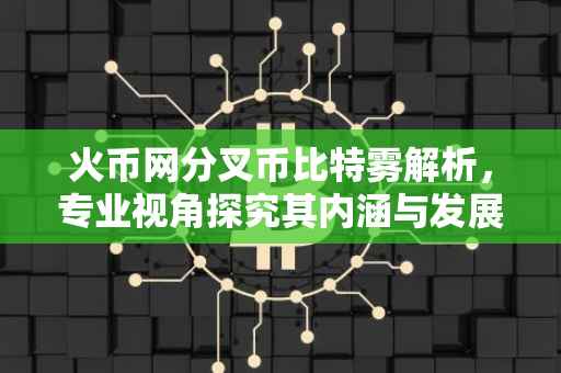 火币网分叉币比特雾解析，专业视角探究其内涵与发展