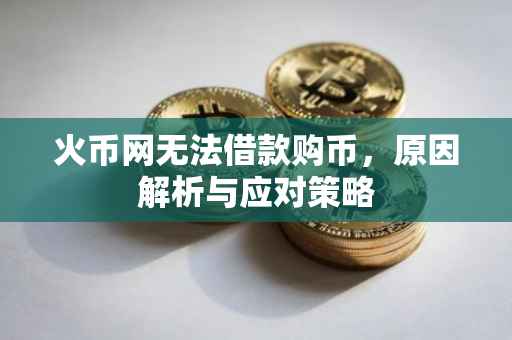 火币网无法借款购币，原因解析与应对策略