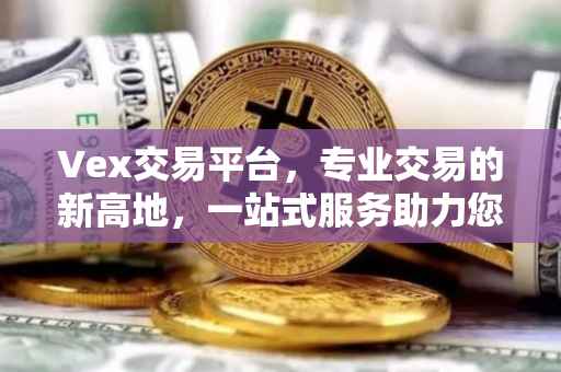Vex交易平台，专业交易的新高地，一站式服务助力您的投资之路